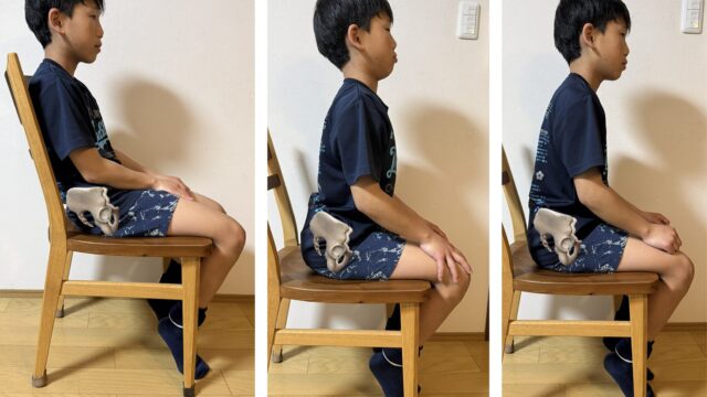 学習能力と姿勢の関係